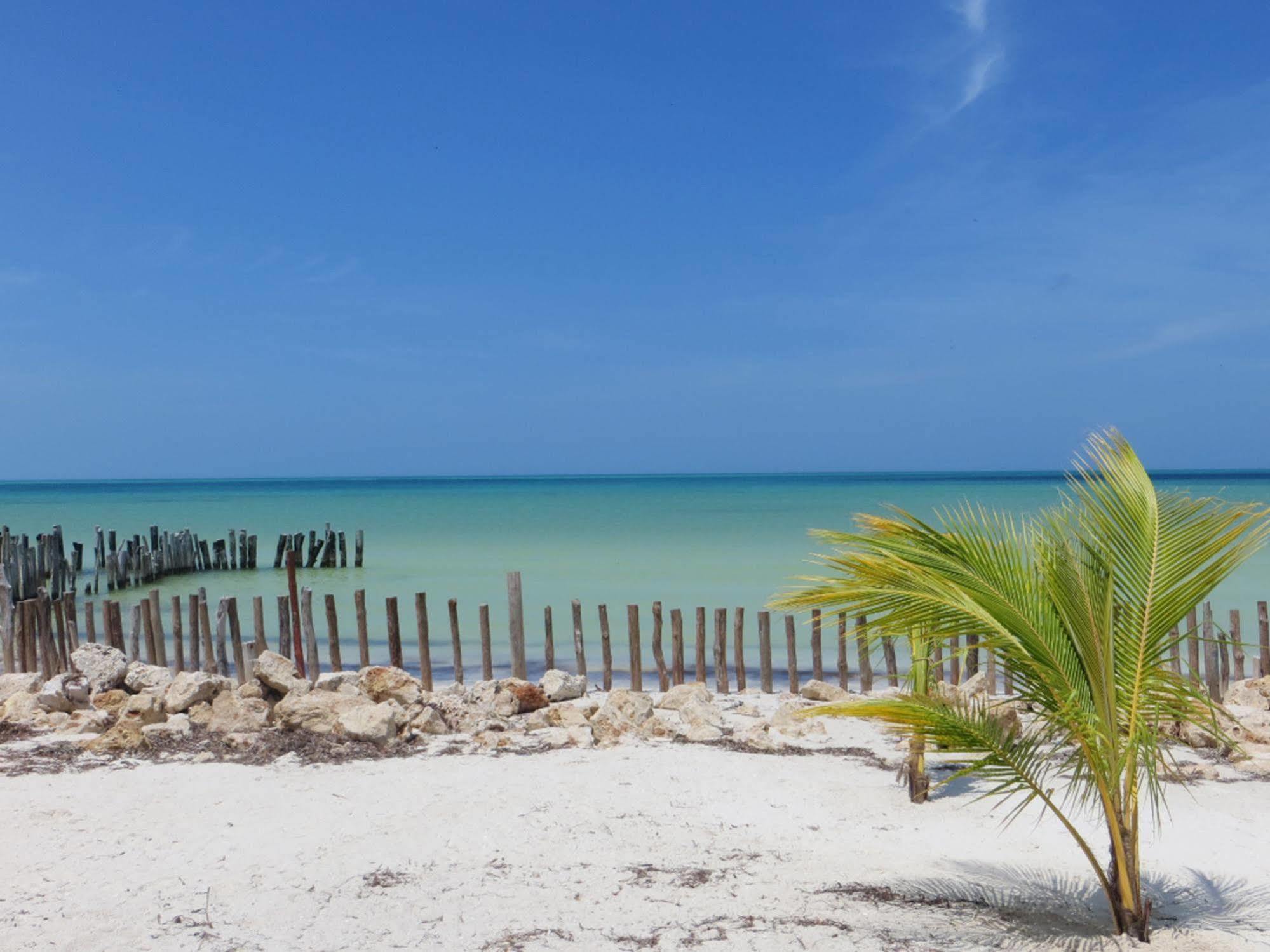 Golden Paradise Beach Holbox  Eksteriør bilde